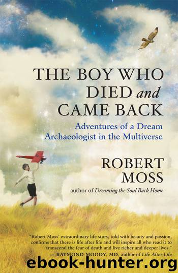 The Boy Who Died and Came Back by Robert Moss