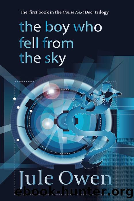 The Boy Who Fell from the Sky by Jule Owen