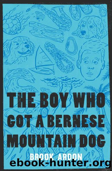 The Boy Who Got a Bernese Mountain Dog by Brook Ardon