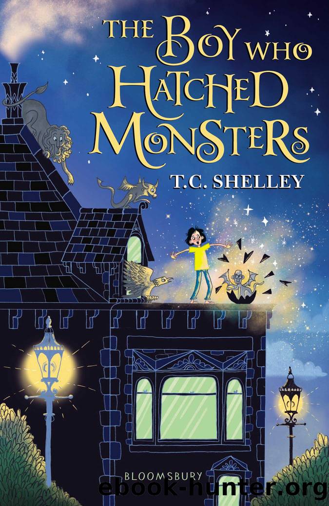 The Boy Who Hatched Monsters by T.C. Shelley