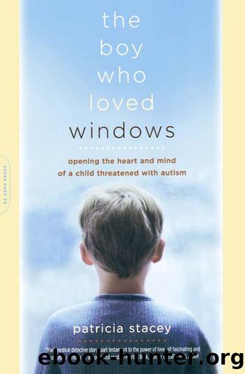 The Boy Who Loved Windows by Patricia Stacey