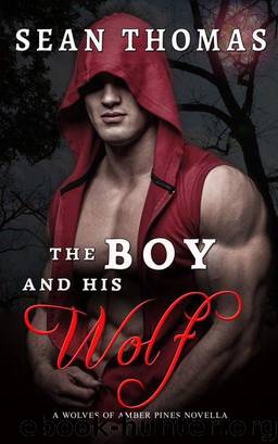 The Boy and His Wolf by Sean Thomas