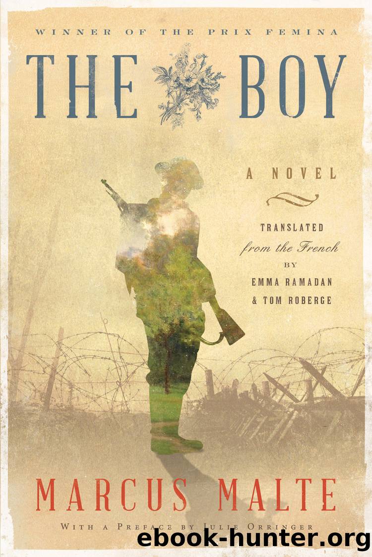 The Boy by Marcus Malte