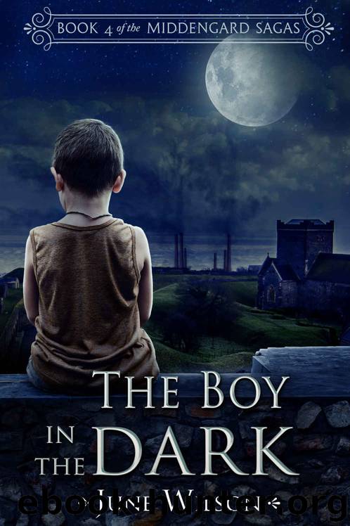 The Boy in the Dark: Book 4 of the Middengard Sagas by June Wilson