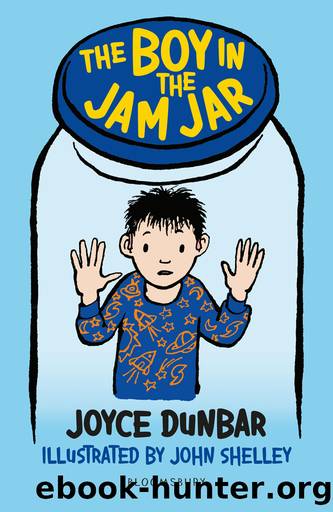 The Boy in the Jam Jar by Joyce Dunbar