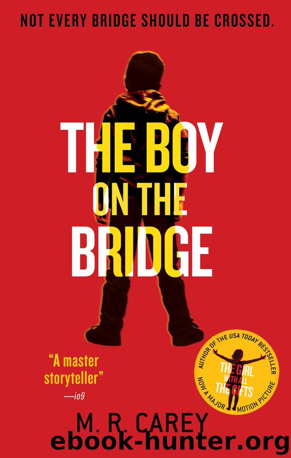 The Boy on the Bridge by M. R. Carey