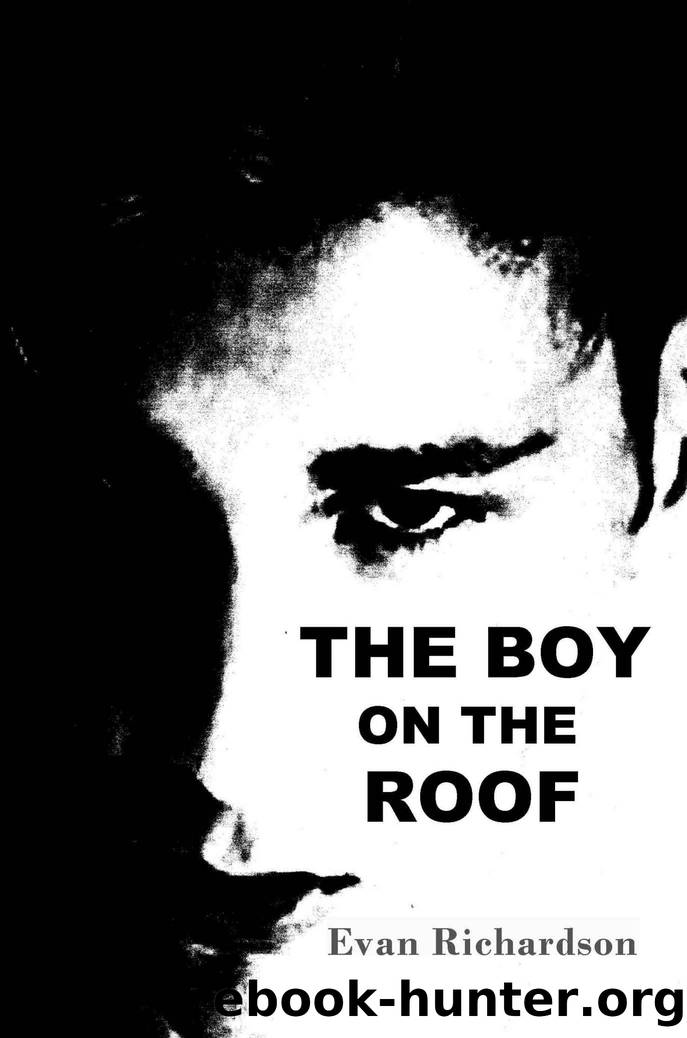 The Boy on the Roof by Evan Richardson