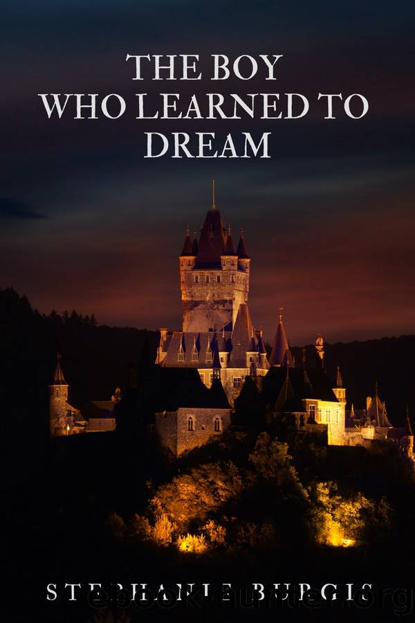 The Boy who Learned to Dream by Stephanie Burgis