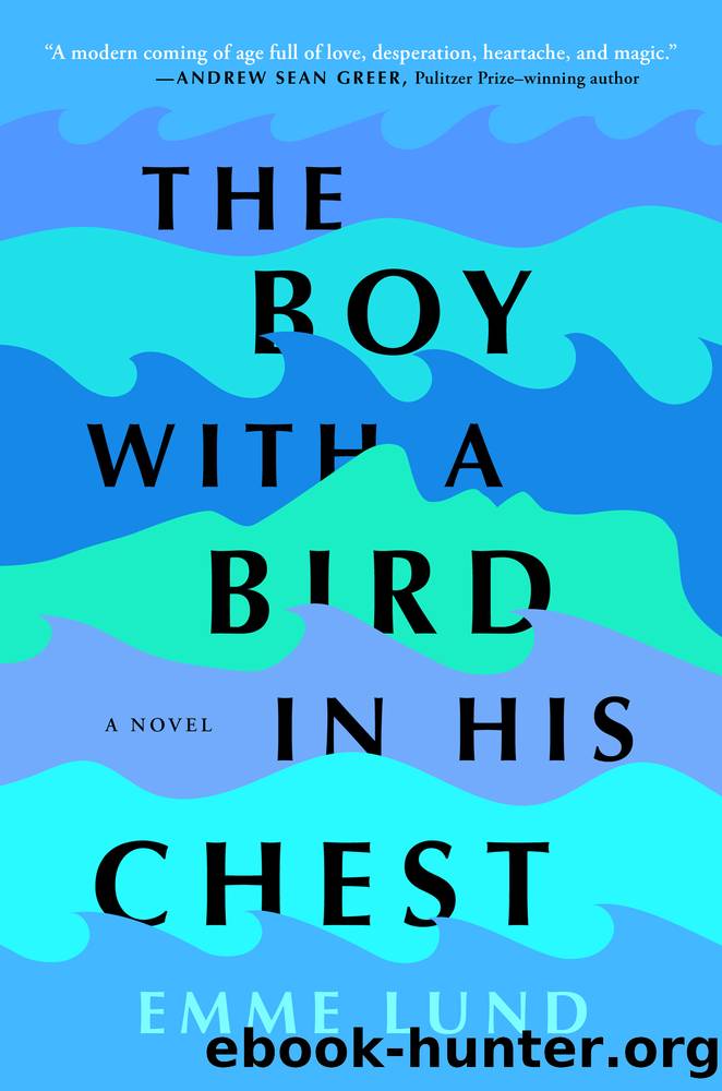 The Boy with a Bird in His Chest by Emme Lund