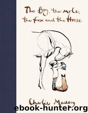 The Boy, The Mole, The Fox and The Horse by Mackesy Charlie