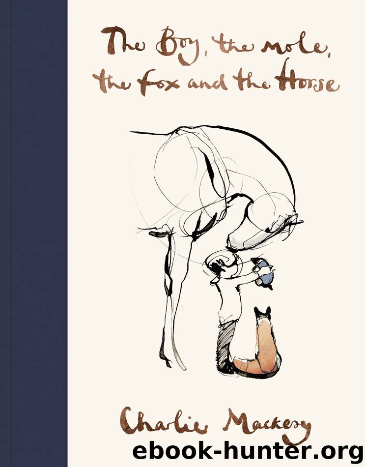 The Boy, the Mole, the Fox and the Horse by Charlie Mackesy