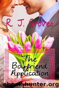 The Boyfriend Application by R. J. Groves