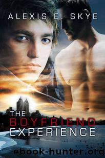 The Boyfriend Experience by Alexis E. Skye
