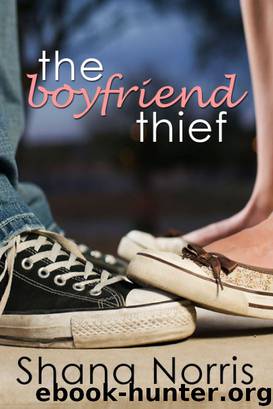 The Boyfriend Thief by Shana Norris