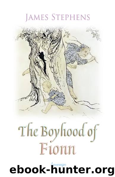 The Boyhood of Fionn (Irish Fairy Tales) by James Stephens
