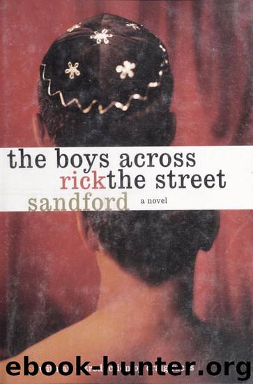 The Boys Across the Street by Rick Sandford