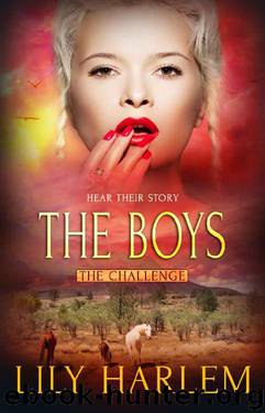 The Boys: Reverse Harem Romance (The Challenge Book 7) by Lily Harlem