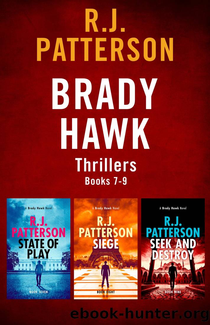 The Brady Hawk Series by R.J. Patterson