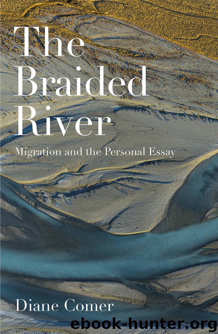 The Braided River by Diane Comer