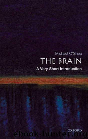 The Brain : A Very Short Introduction by Michael O'Shea