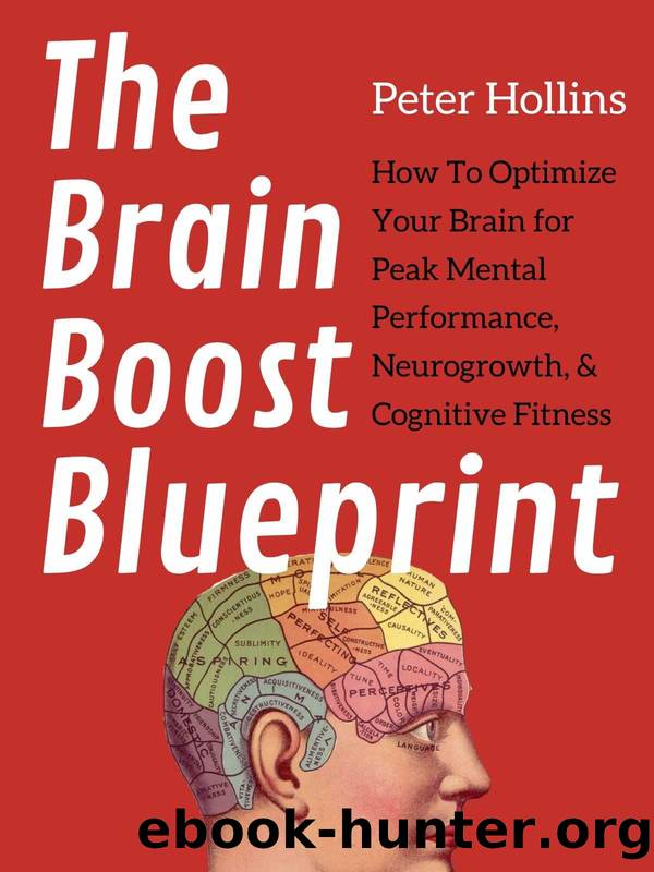 The Brain Boost Blueprint: How To Optimize Your Brain for Peak Mental Performance, Neurogrowth, and Cognitive Fitness (Think Smarter, Not Harder Book 6) by Peter Hollins