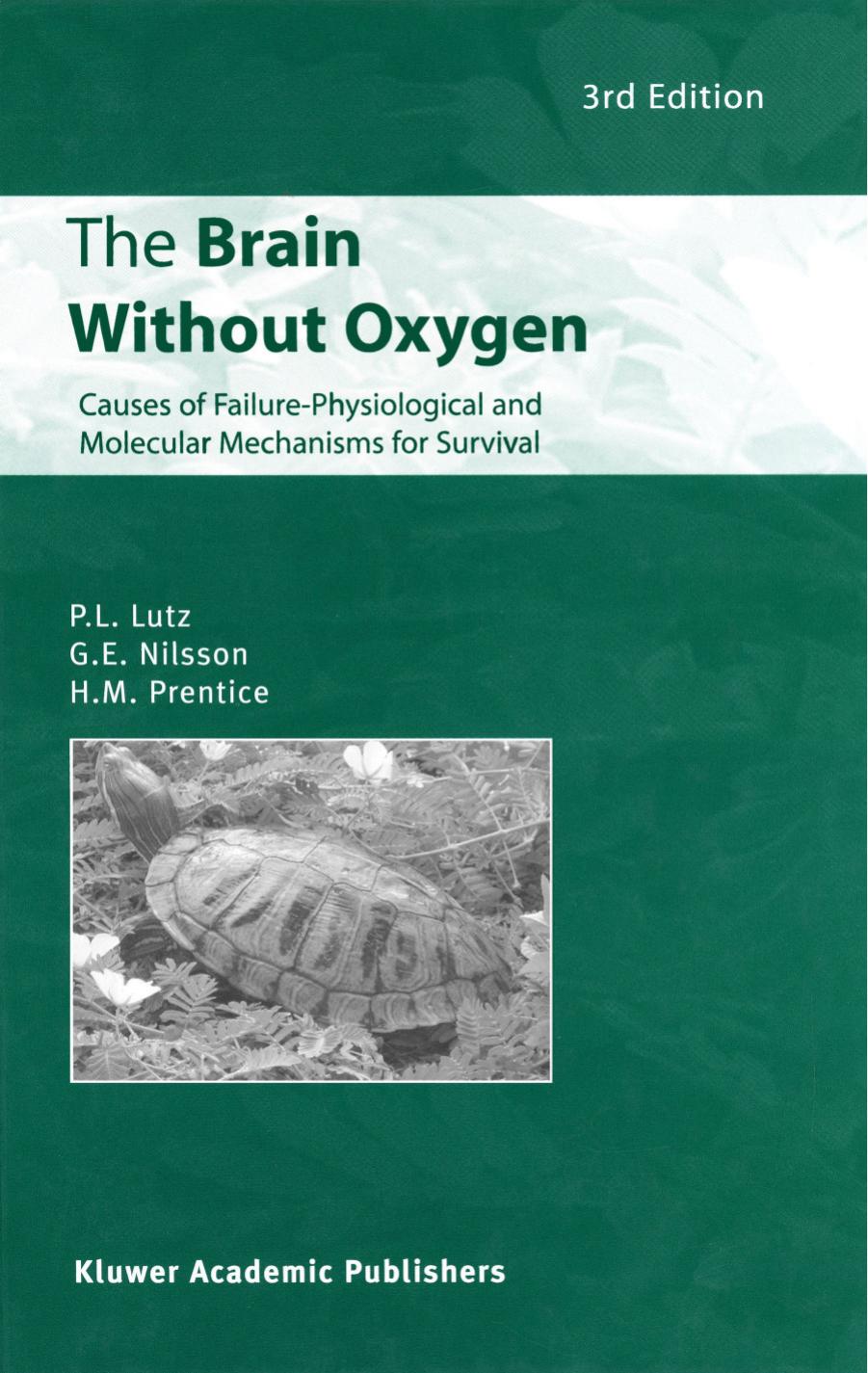 The Brain Without Oxygen: Causes of Failure - Physiological and Molecular Mechanisms for Survival by P.L. Lutz G.E. Nilsson H.M. Prentice