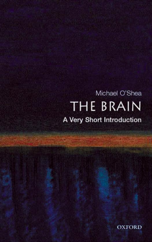 The Brain by Michael O'Shea