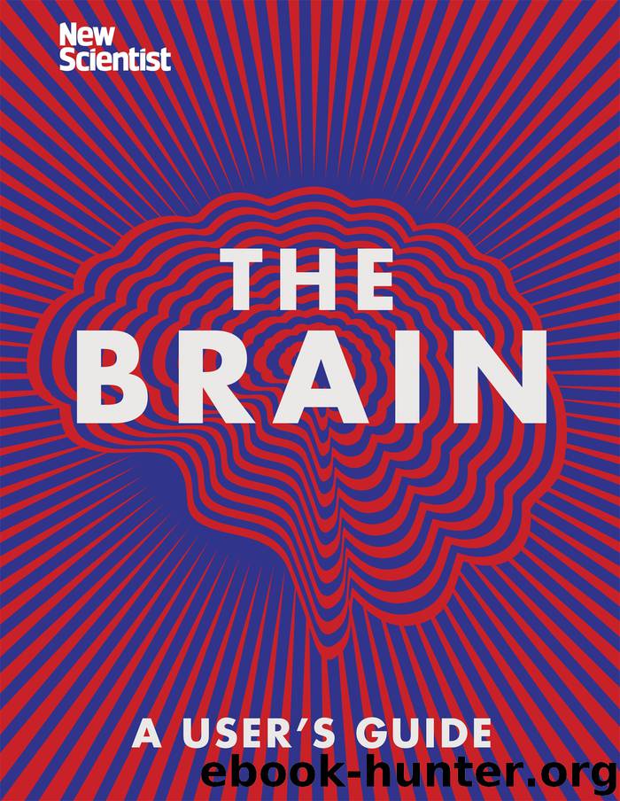 The Brain by New Scientist