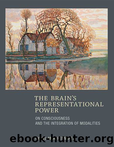 The Brain's Representational Power by Cyriel M.A. Pennartz