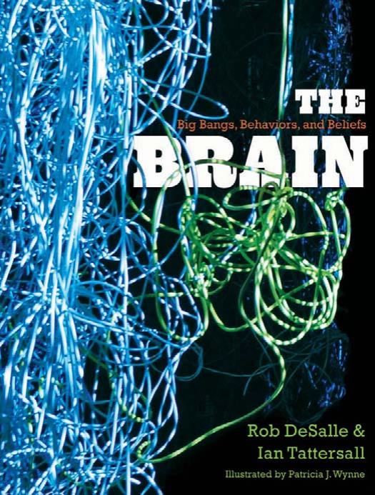 The Brain: Big Bangs, Behaviors, and Beliefs (repost) by Rob DeSalle Ian Tattersall Ms. Patricia J. Wynne