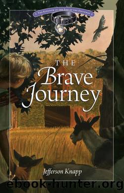 The Brave Journey by Jefferson Knapp