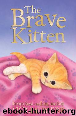 The Brave Kitten by Holly Webb