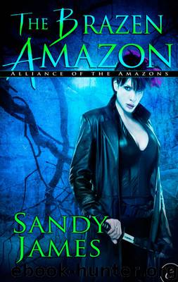 The Brazen Amazon by Sandy James