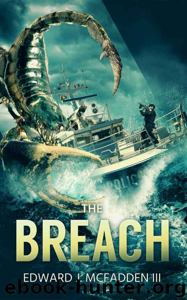 The Breach by Edward J McFadden III