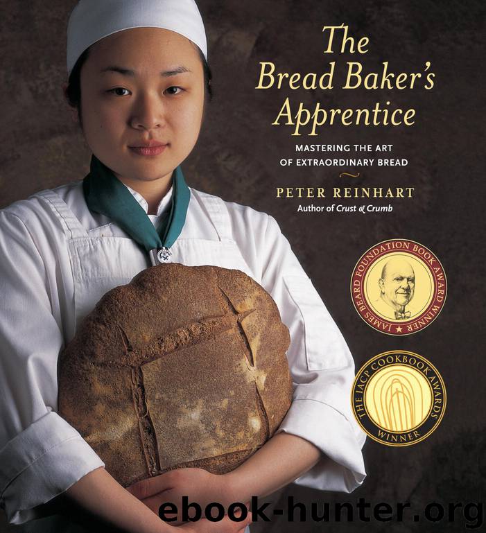 The Bread Baker's Apprentice by Peter Reinhart