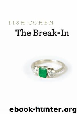 The Break-In by Tish Cohen