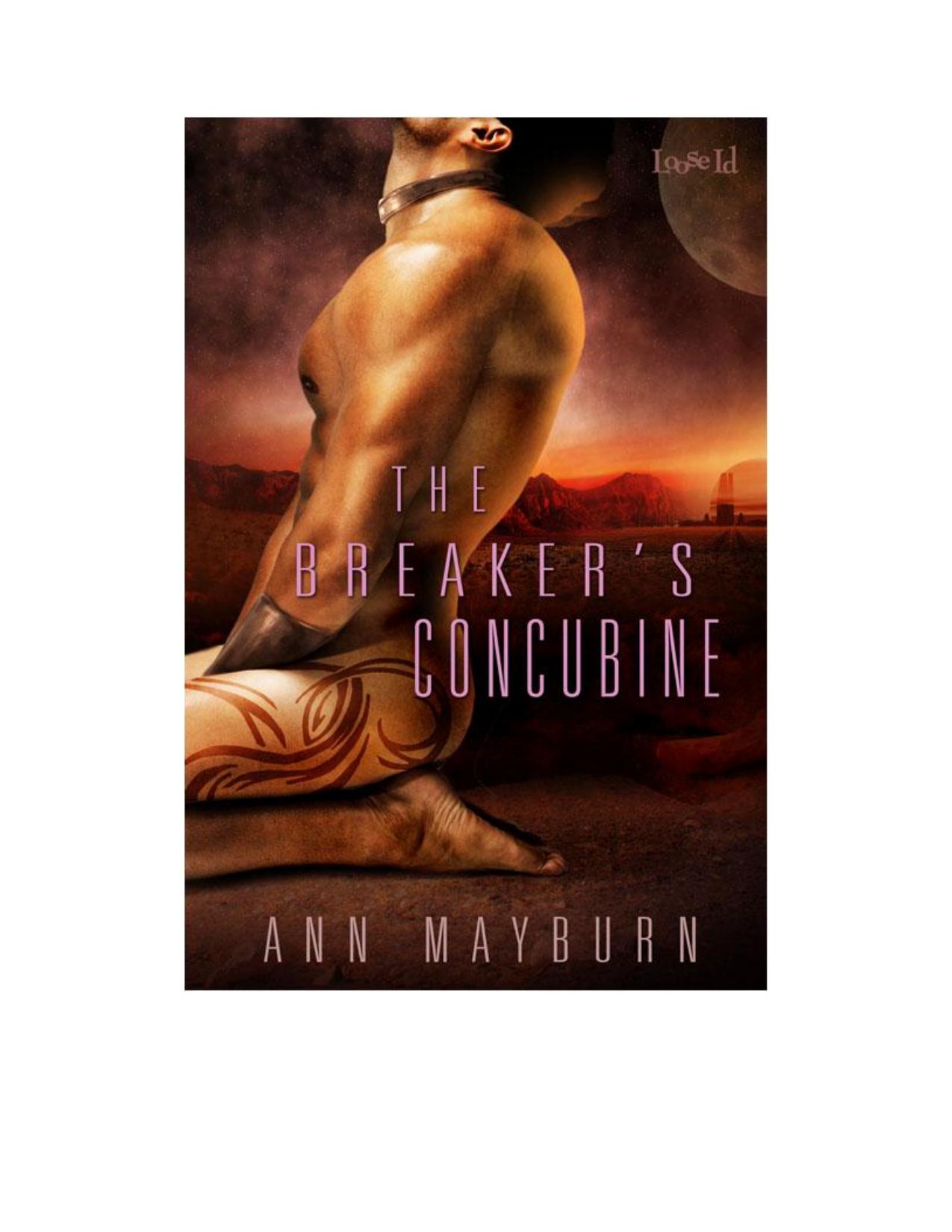 The Breaker's Concubine by Ann Mayburn