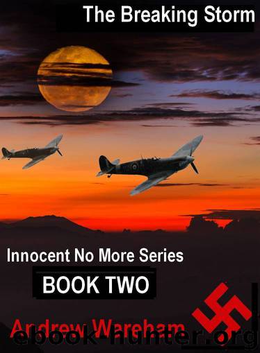 The Breaking Storm (Innocent No More Series, Book 2) by Andrew Wareham