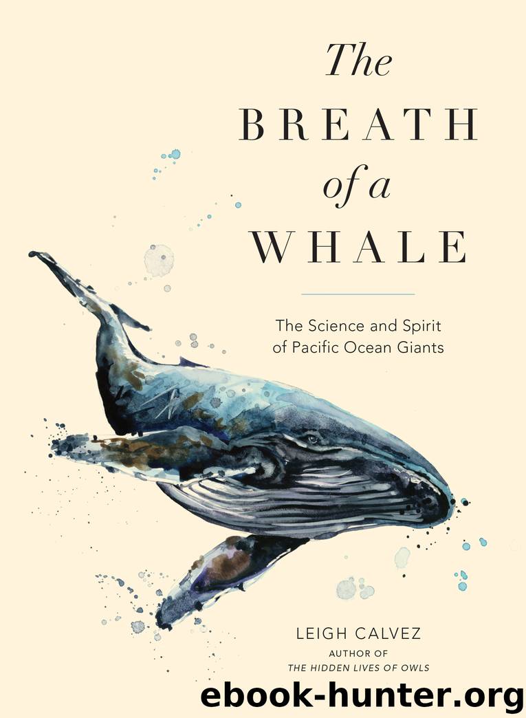 The Breath of a Whale by Leigh Calvez