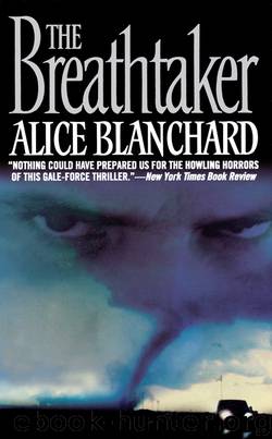 The Breathtaker by Alice Blanchard