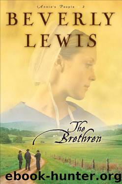 The Brethren by Beverly Lewis