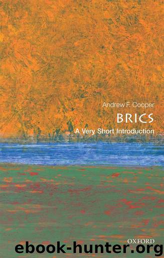 The Brics by Cooper Andrew F