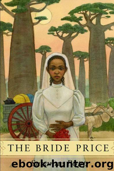 The Bride Price: An African Romance (Chitundu Chronicles) by Suzanne Popp