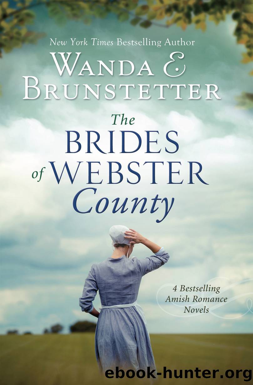 The Brides of Webster County by Wanda E. Brunstetter