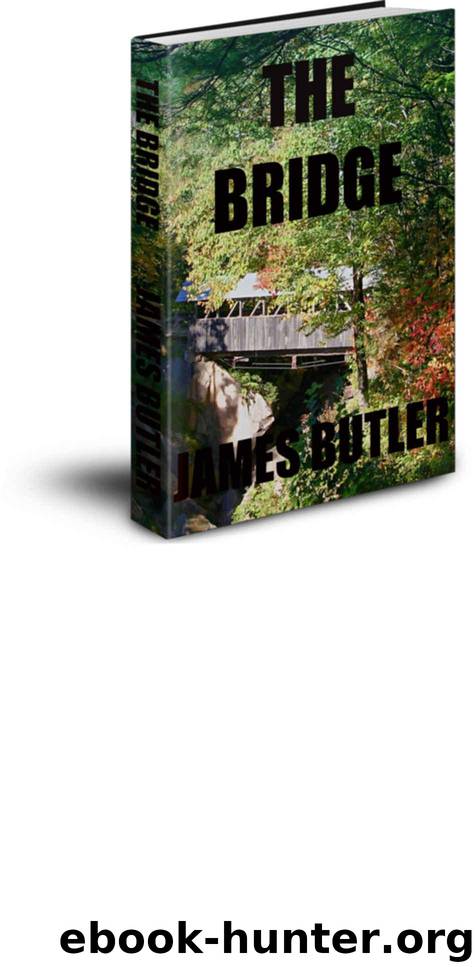 The Bridge by Butler James