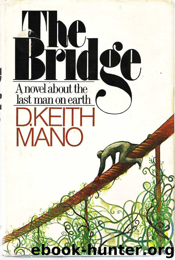 The Bridge by D Keith Mano