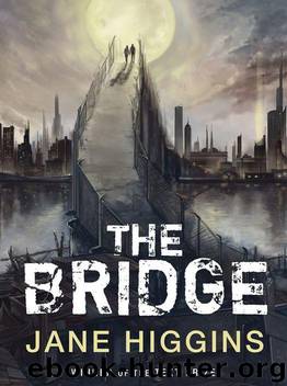 The Bridge by Higgins Jane