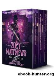 The Bridgeport Mysteries by Heather Elizabeth King