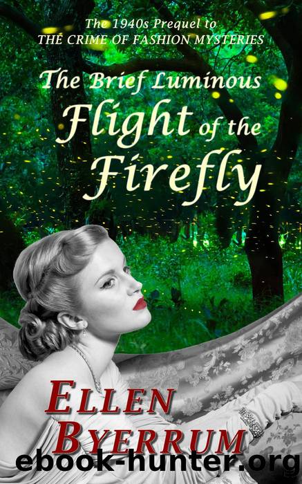 The Brief Luminous Flight of the Firefly by Ellen Byerrum