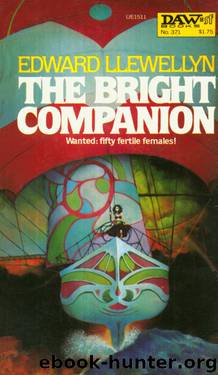 The Bright Companion by Edward Llewellyn